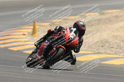 media/May-14-2023-SoCal Trackdays (Sun) [[024eb53b40]]/Turn 12 (1145am)/